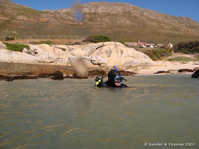 Onder water bij Windmill beach (Simonstown)