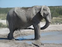 Nog meer douche