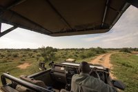 Op safari