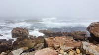 Kust in de mist