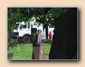 [Click to enlarge image]