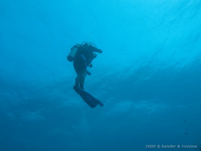 Nigel, Tolo, Bonaire
