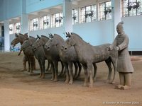Paardenman