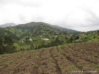 Fields