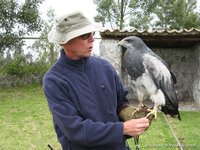 Joep with Sclater's buzzard