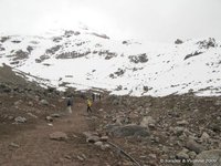 The path