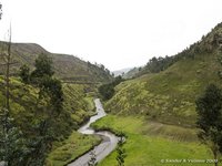 Stream