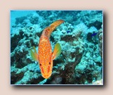 [Click to enlarge image]