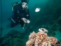 Chris with Masked puffer
