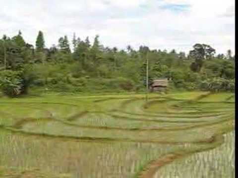 Video afspelen: Sulawesi 3 Mainland