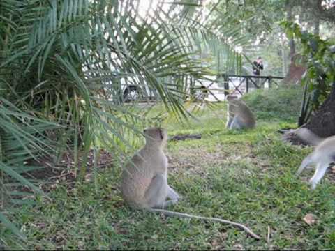 Video afspelen: Southern Africa 2007