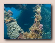 [Click to enlarge image]