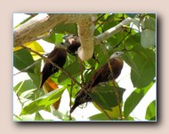 [Click to enlarge image]