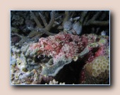 [Click to enlarge image]