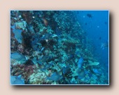 [Click to enlarge image]