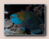 [Click to enlarge image]