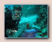 [Click to enlarge image]