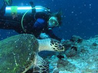 Yvonne met echte karetschildpad