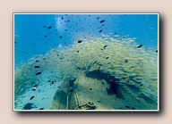 [Click to enlarge image]