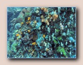 [Click to enlarge image]