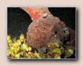 [Click to enlarge image]