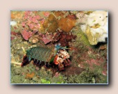 [Click to enlarge image]