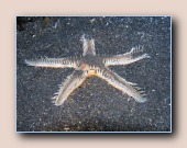 [Click to enlarge image]