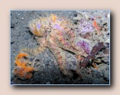 [Click to enlarge image]