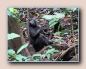 [Click to enlarge image]