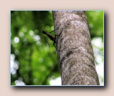 [Click to enlarge image]