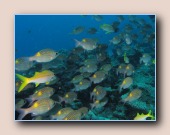 [Click to enlarge image]