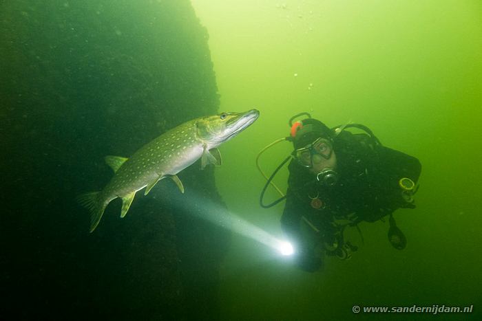 Grote Hegge, 30-7-2016