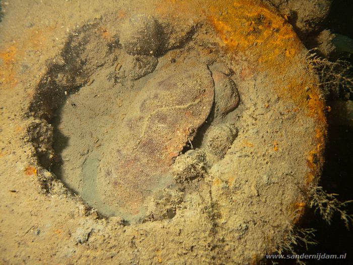 Noordzeekrab op wrak, Scharendijke, 12-5-2012