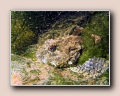 [Click to enlarge image]